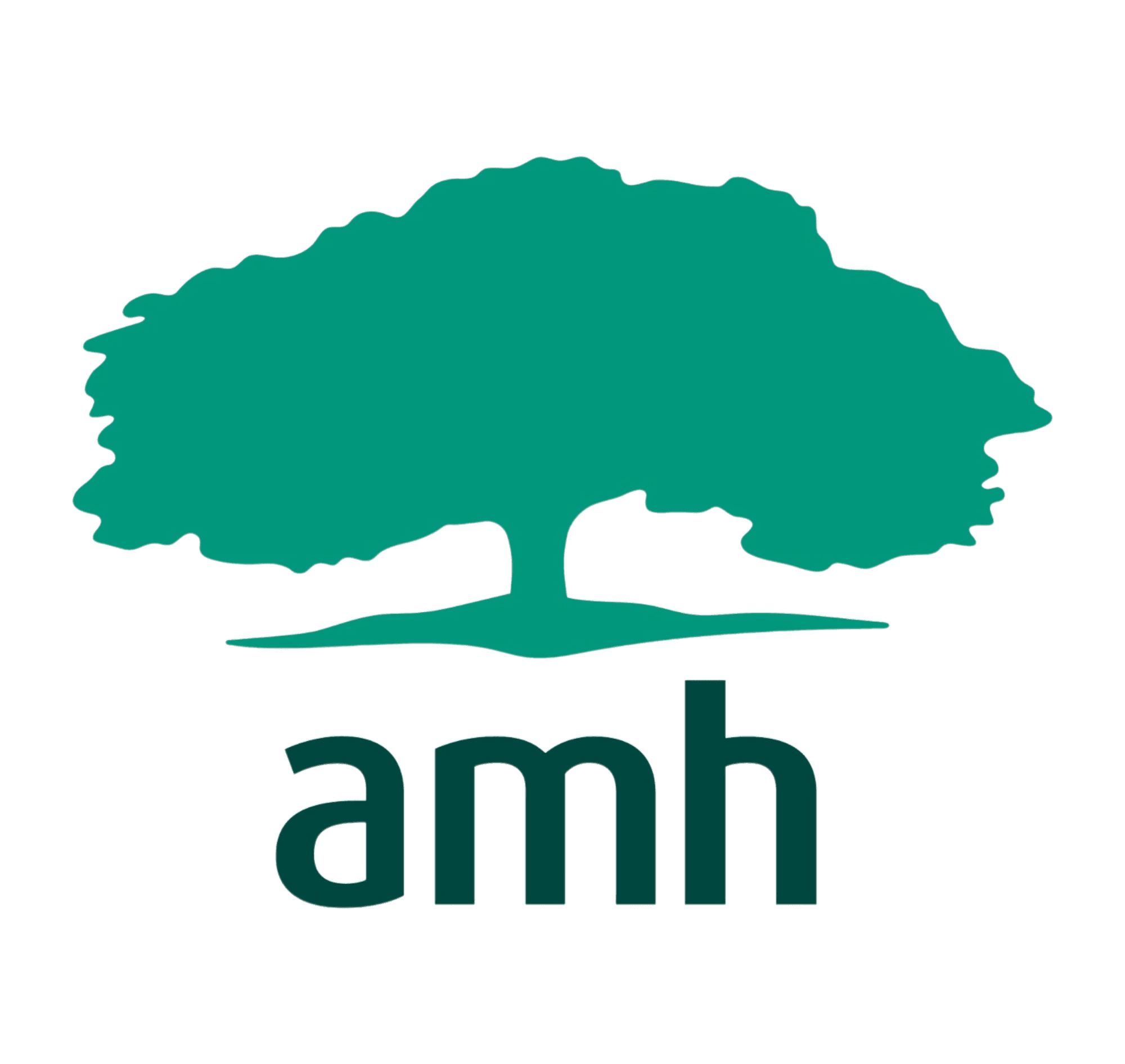 American Mission Hospital